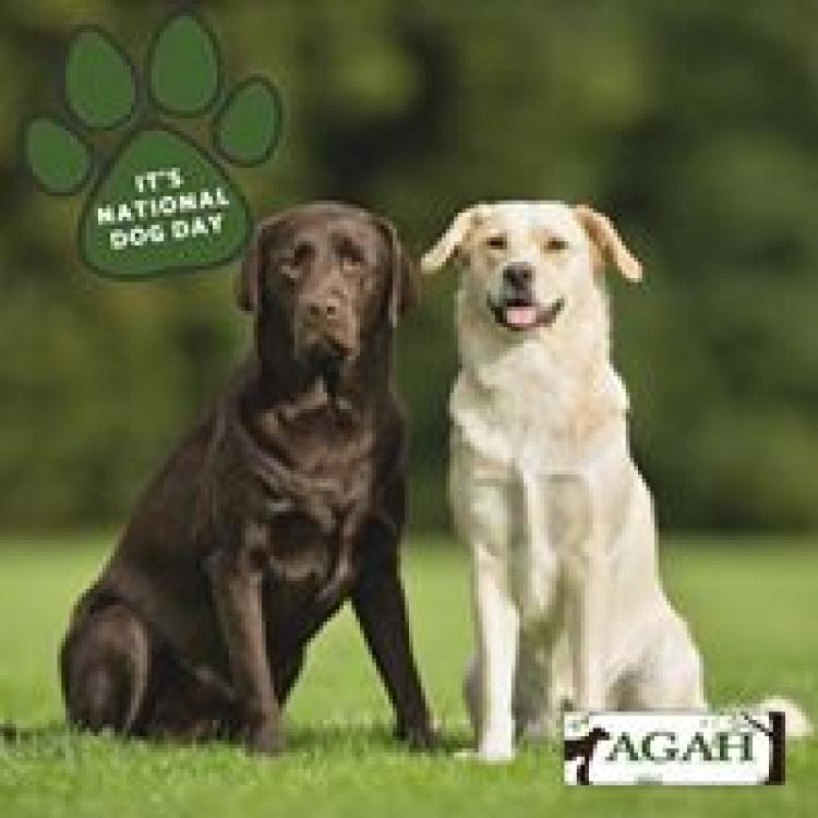 aquia garrison animal hospital