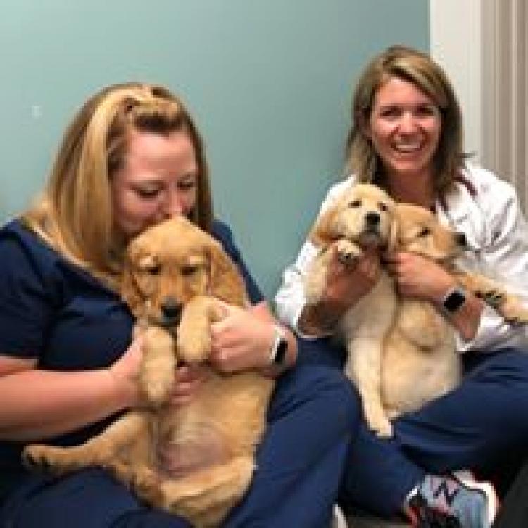 Desert Vet Clinic Inc – Richland, WA Desert Vet Clinic Inc – Richland, WA