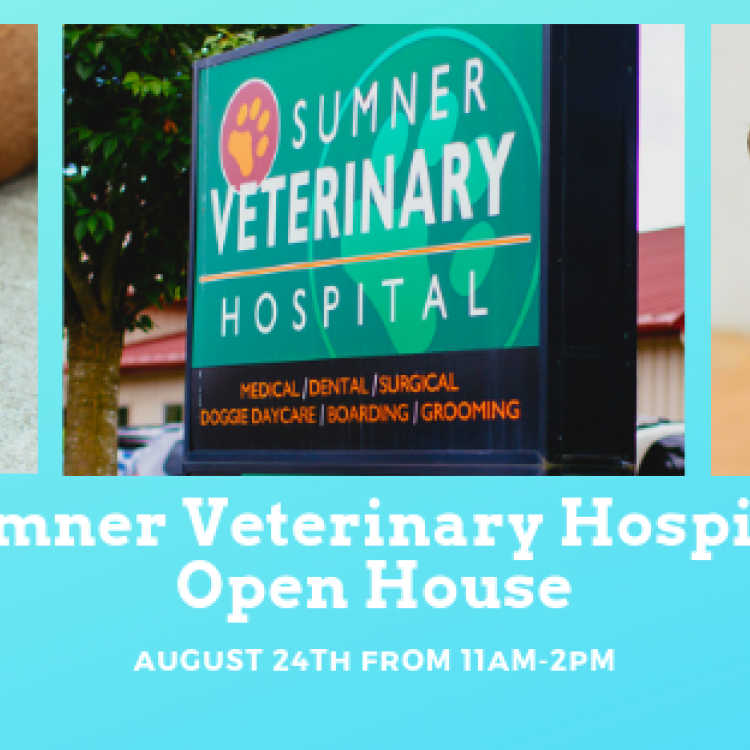 Sumner 24 deals hour vet