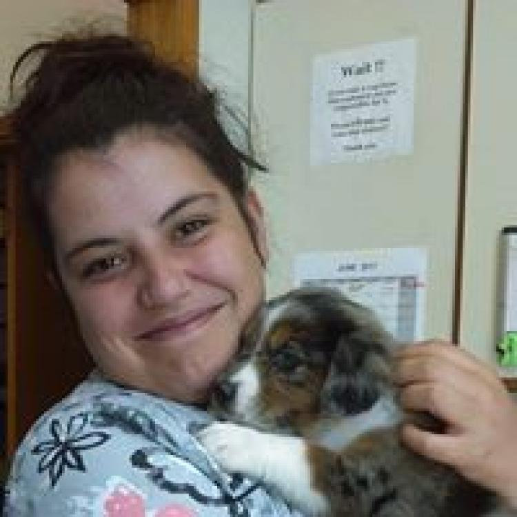 Cottage Lake Vet Hosp Woodinville Wa