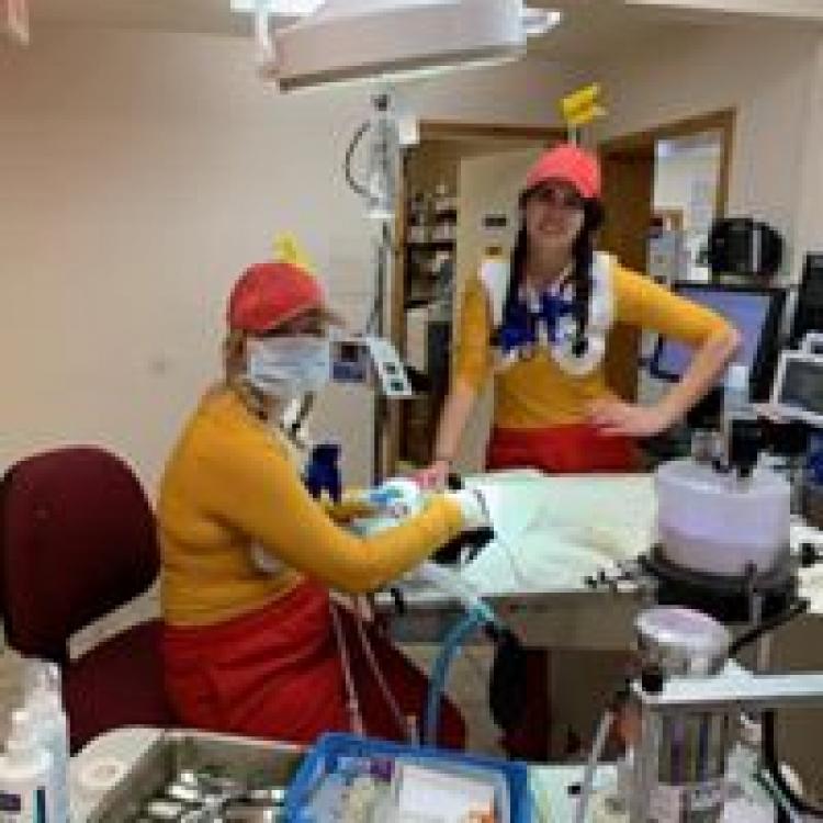 HillDale Veterinary Hospital SC Baraboo, WI