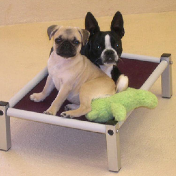 Kenosha Animal Hospital Kenosha, WI