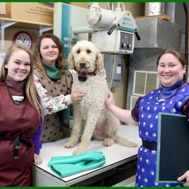 Osseo Veterinary Clinic Osseo, WI