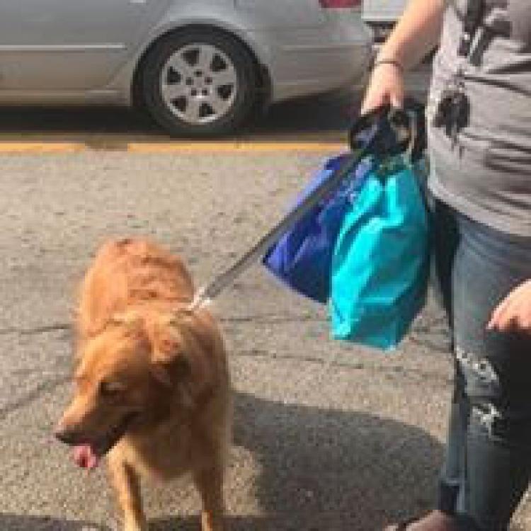 Elk Valley Veterinary Hospital Elkview, WV