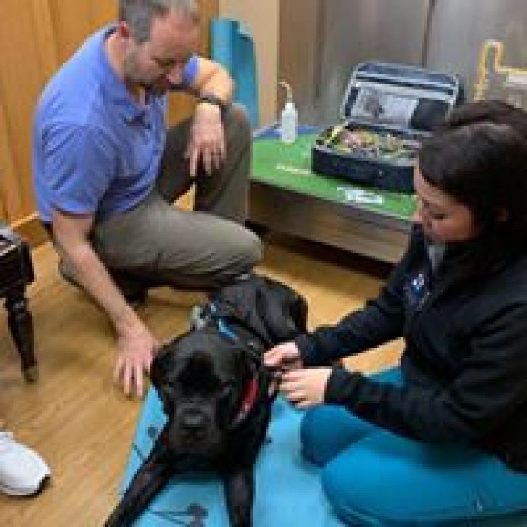 Companion Pet Hosp Of Fishkill Fishkill Ny