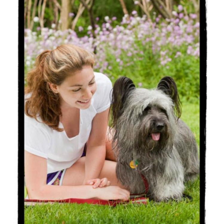 Manlius Veterinary Hospital Manlius Ny