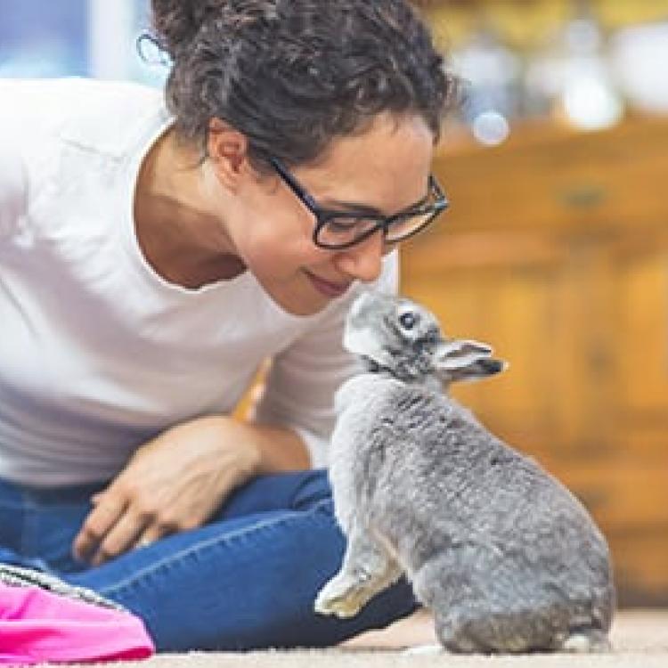 Miller Place Animal Hospital of all time Learn more here 