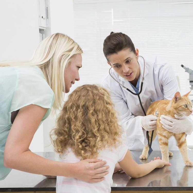 Riverside Animal Hospital New York, NY