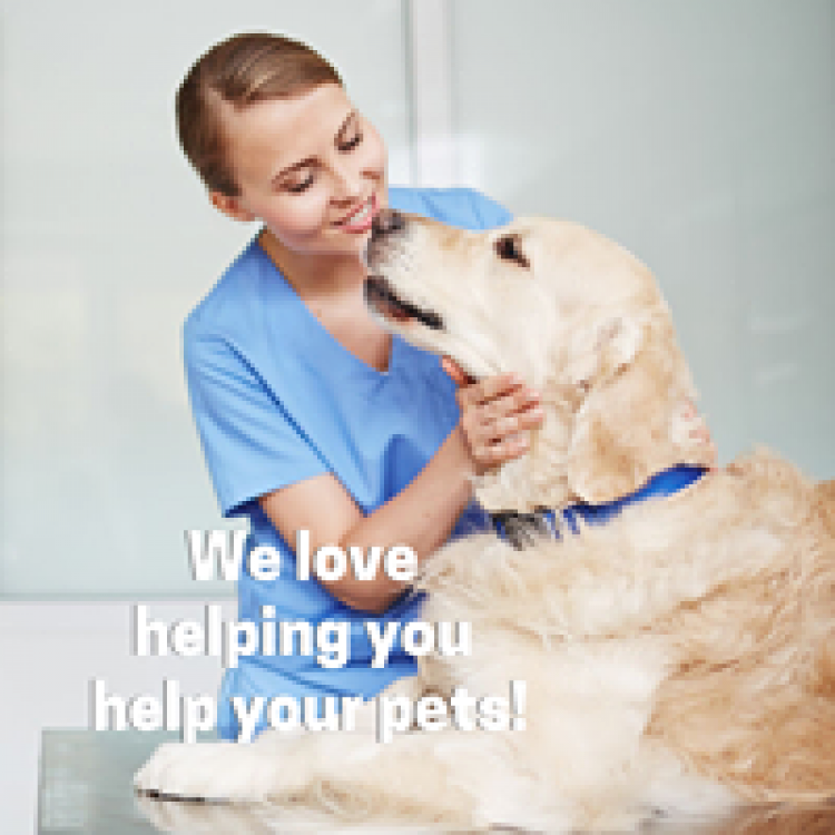Haskell Valley Veterinary Clinic Olean, NY