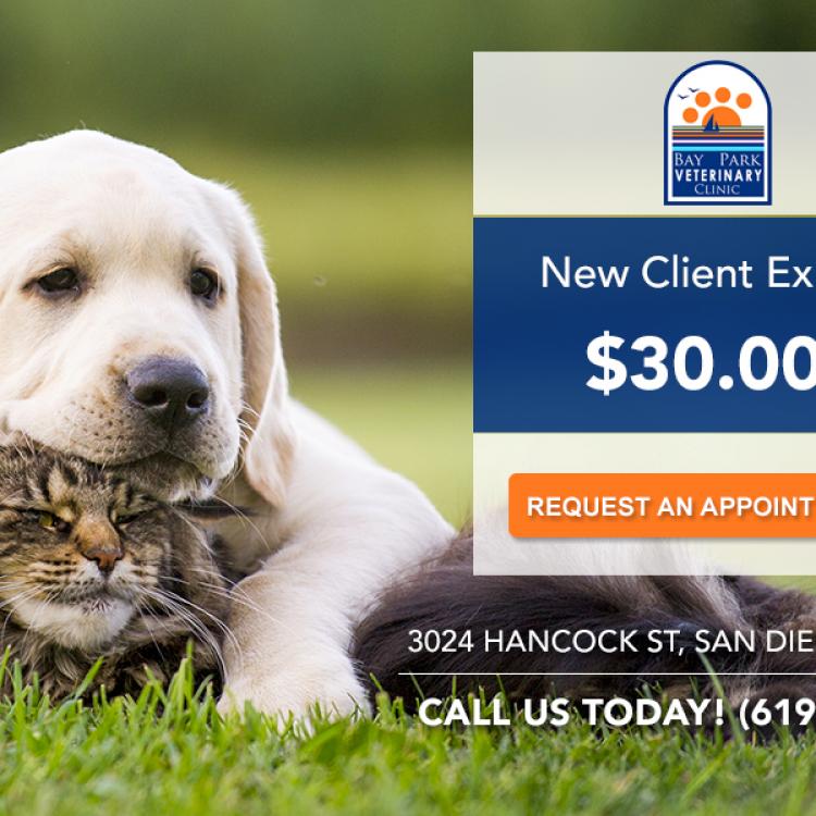 Bay Park Pet Clinic San Diego Ca