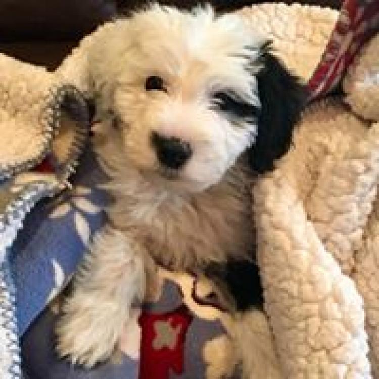 Sky Canyon Veterinary Hospital Grand Junction, CO