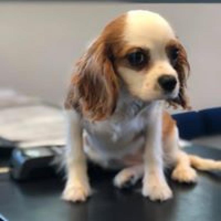 practice gallery photo