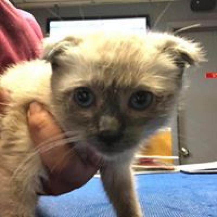 practice gallery photo