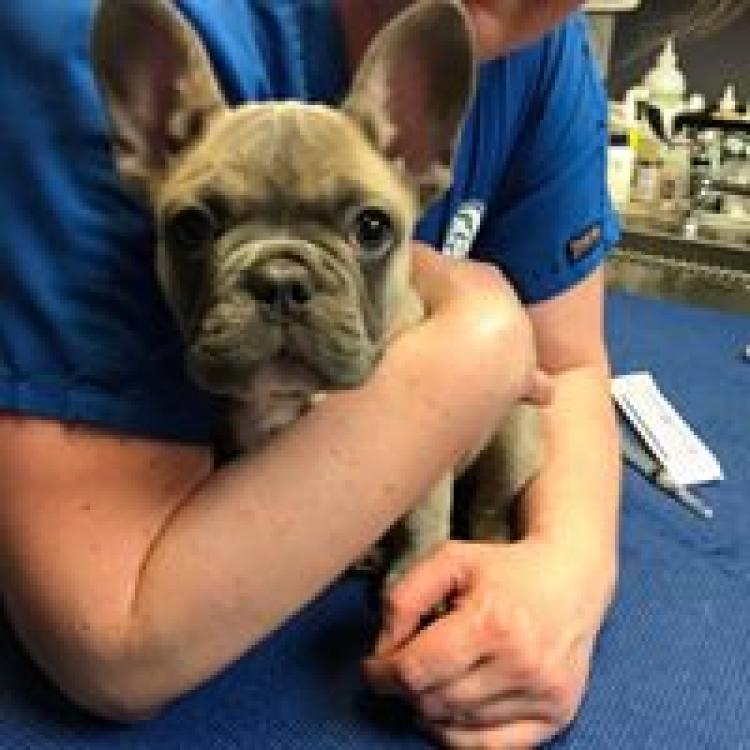 practice gallery photo