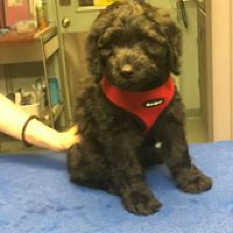 practice gallery photo