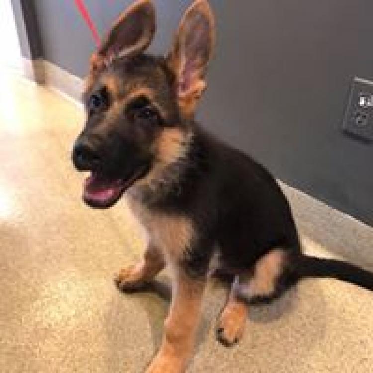 practice gallery photo