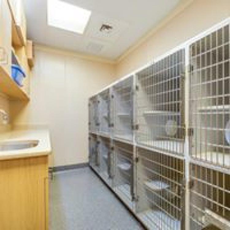 Santa Barbara Animal Hospital Cape Coral, FL