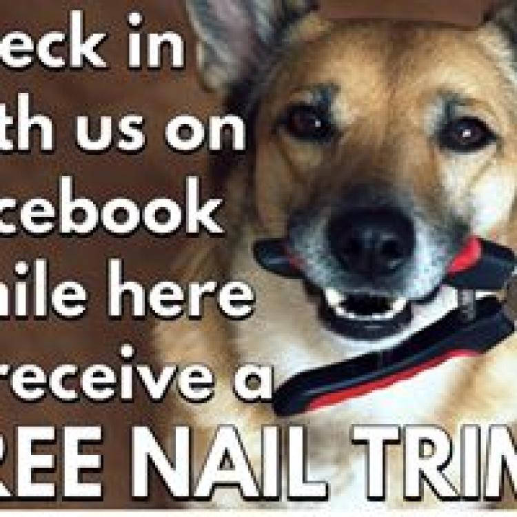 Santa Barbara Animal Hospital Cape Coral, FL