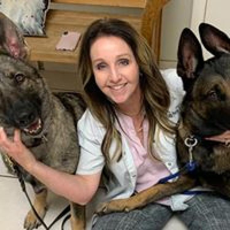 Verandah Pet Hospital Fort Myers Fl
