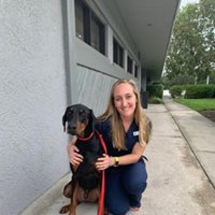 Tampa Bay Veterinary Specialist Emergency Care Largo, FL