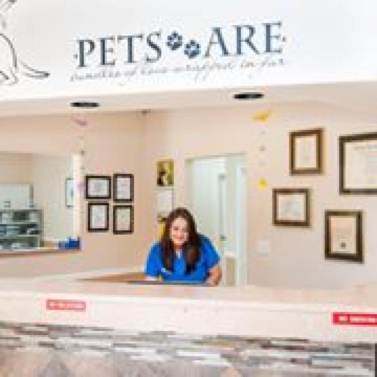 Sunshine Animal Hospital Melbourne Fl Our heart goes into to everything we make. sunshine animal hospital melbourne fl