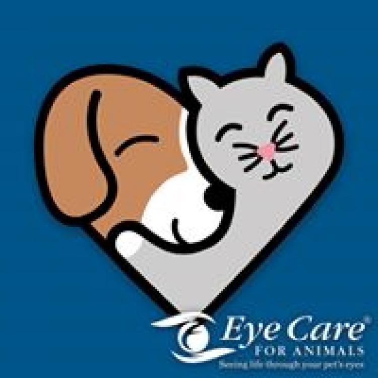 Eye Care For Animals Tampa, FL