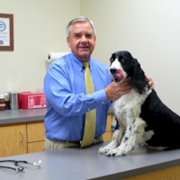 Dunwoody Animal Hospital PC – Atlanta, GA Dunwoody Animal Hospital PC – Atlanta, GA