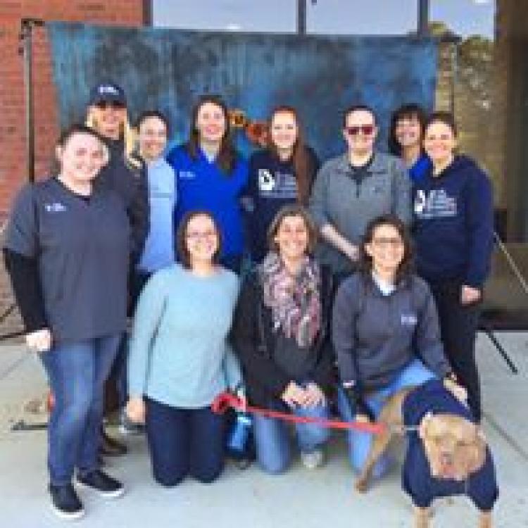 North Veterinary Specialists Buford, GA