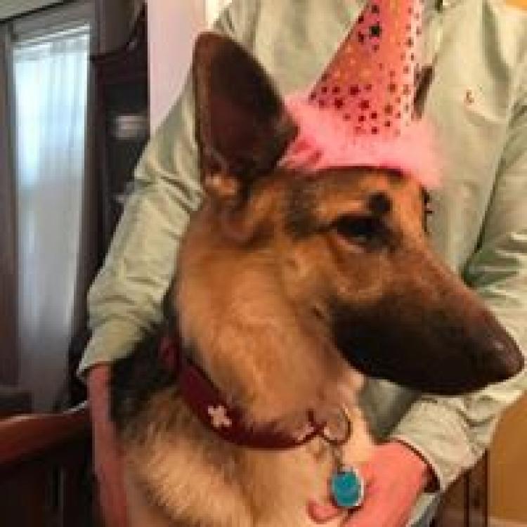 Forsyth Road Animal Clinic Macon Ga