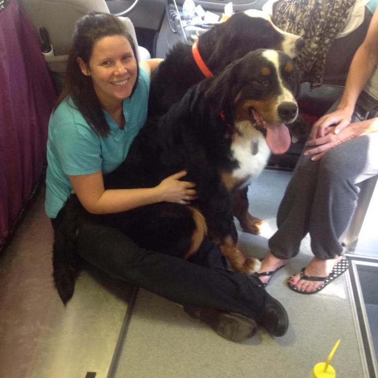 Mobile Animal Health Care Des Moines, IA