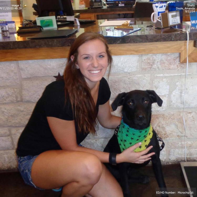 I 20 Animal Hospital Hudson Oaks Tx