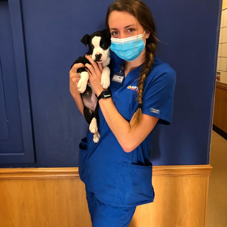 Noah's Ark Animal Clinic – West Chester, OH