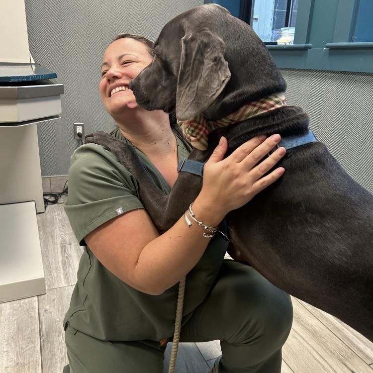 practice gallery photo