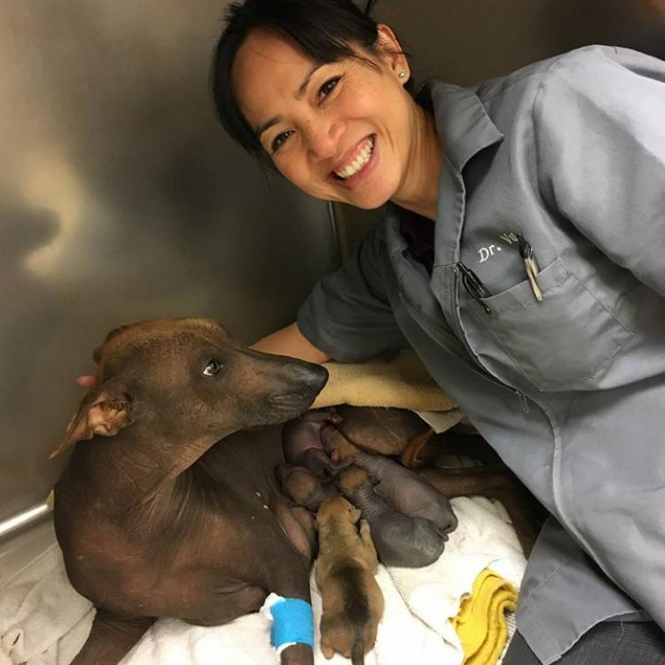 Animal Care Clinic Stockton Stockton Ca