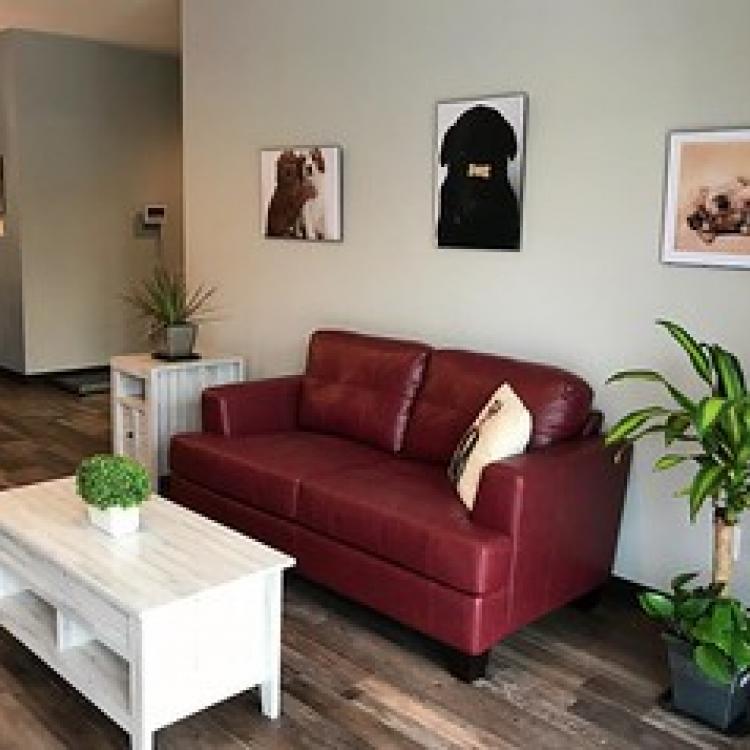 Lone Star Animal Hospital Dripping Spring, TX