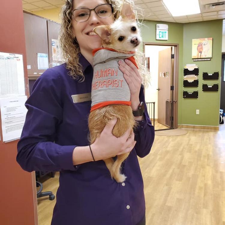 4 Paws Veterinary Care Wynantskill, NY