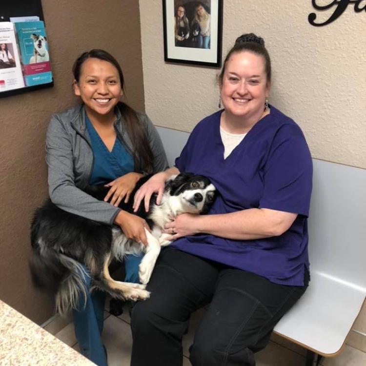 Valley Veterinary Clinic, Pet Lodge & Salon – Farmington, NM