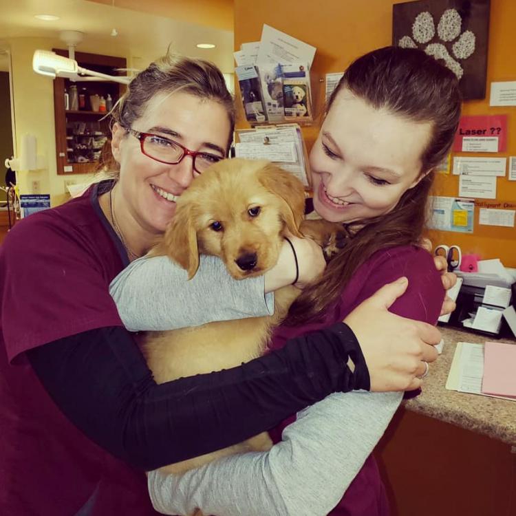 4 Paws Veterinary Care Wynantskill, NY