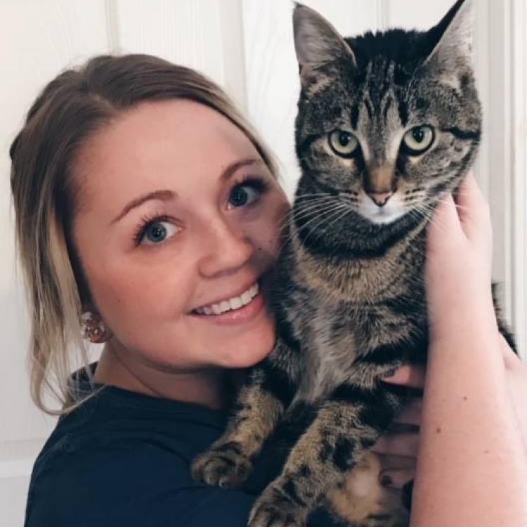 Foxcroft Veterinary Services DoverFoxcroft, ME