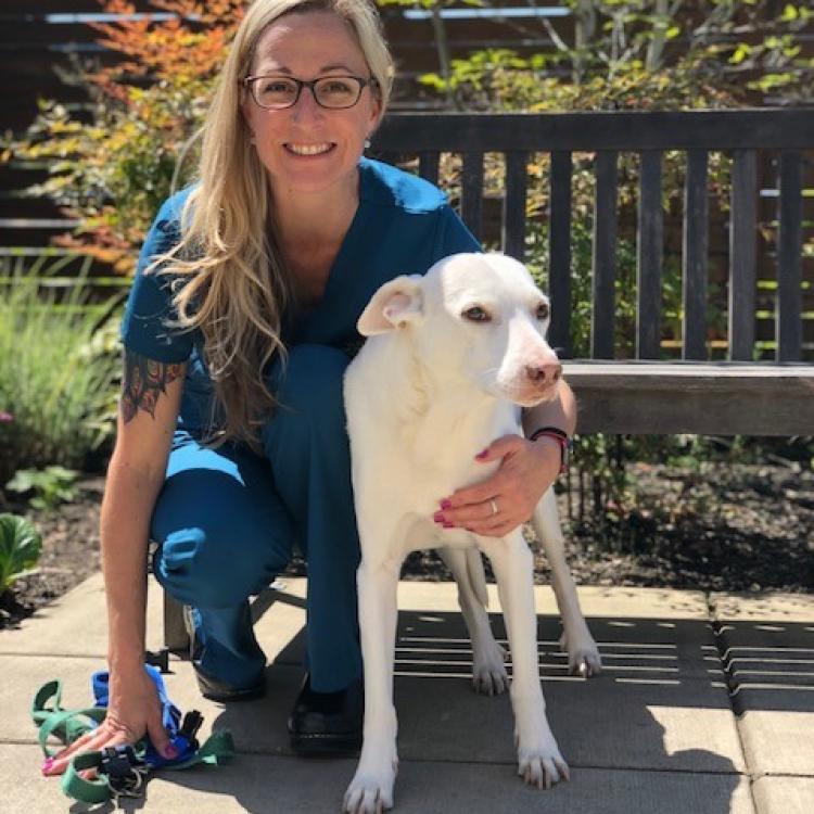 Veterinary Cancer and Surgery Specialists Portland, OR