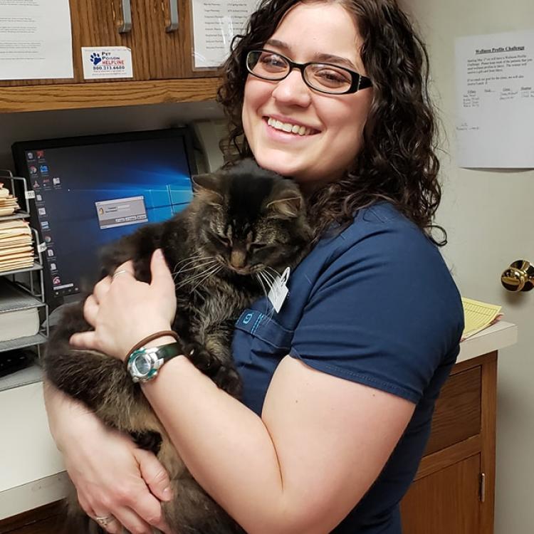 Kibby Park Animal Hospital Jackson, MI