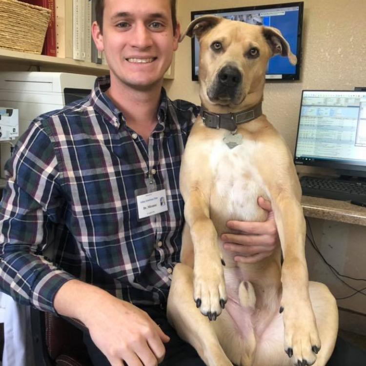 Valley Veterinary Clinic, Pet Lodge & Salon Farmington, NM