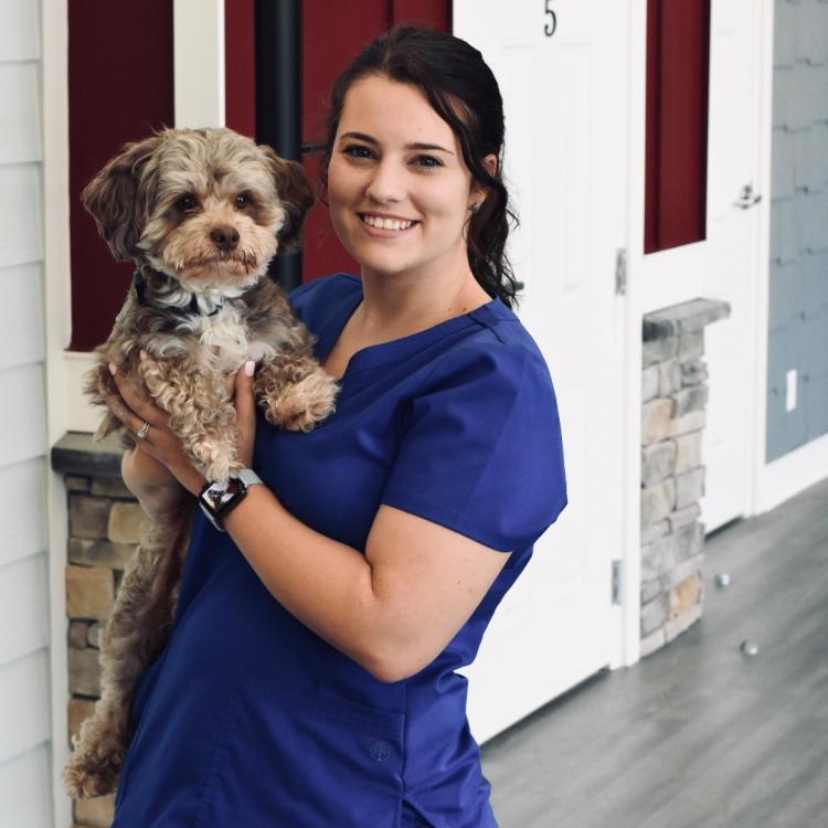 Vitality Veterinary Buford Buford, GA