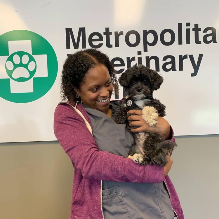 Metropolitan Veterinary Center Chicago, IL