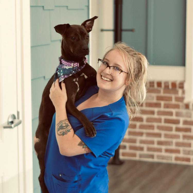 Vitality Veterinary Buford Buford, GA