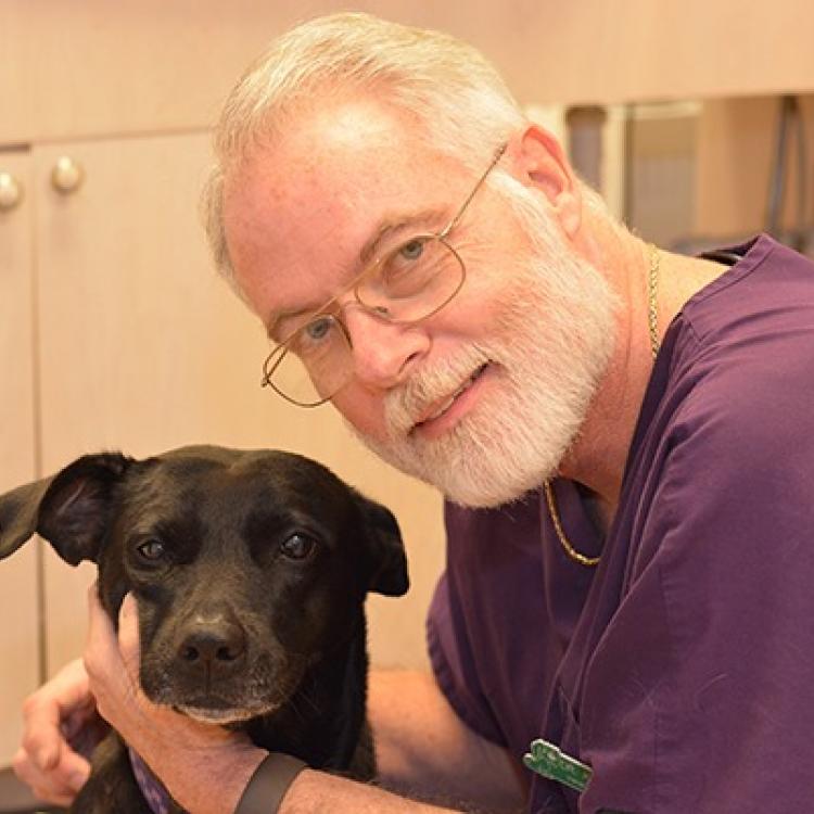 Kelly's Animal Hospital – Port Saint Lucie, FL