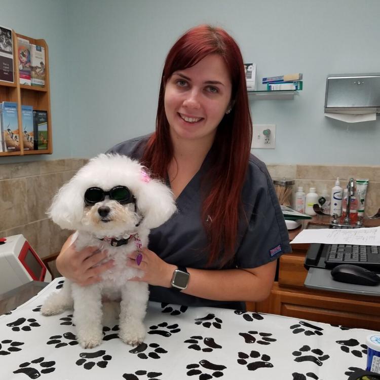 Lombard Veterinary Hospital Lombard, IL