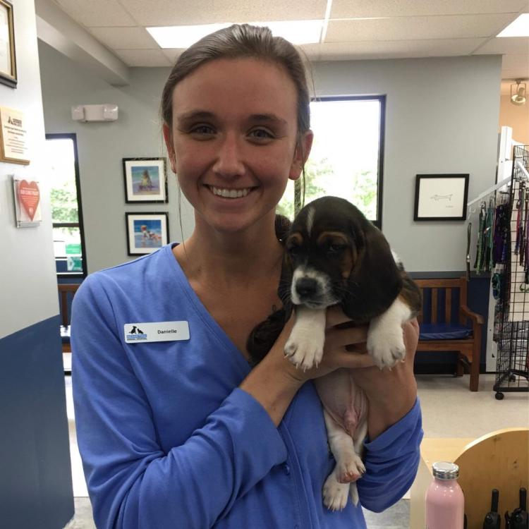 Indian Trail Animal Hospital Indian Trail, NC