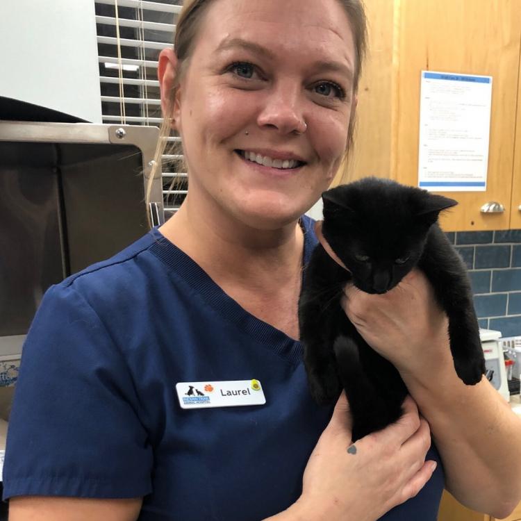 Indian Trail Animal Hospital Indian Trail, NC