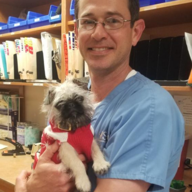 Metairie Small Animal Hospital Freret Clinic